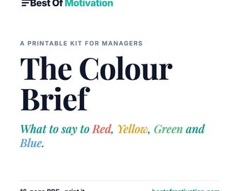 The Colour Brief | DISC Personality Manager Guide for Red, Yellow, Green, Blue Teams (PDF)