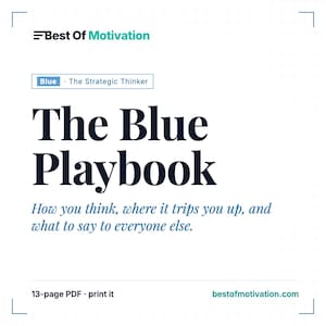 Blue Personality Playbook | DISC-Modell-Leitfaden, Stärken & blinde Flecken (PDF)