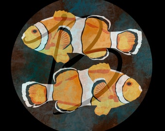 Download Clownfish Svg Etsy