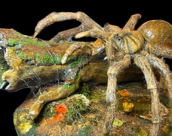 Goliath Birdeater Tarantula Spider Sculpture Diorama, Real Scale