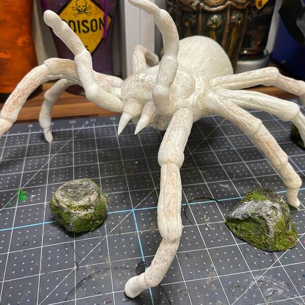 Goliath Birdeater Tarantula Spider Cast, Paintable