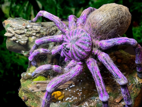 Purple Goliath Birdeater Tarantula Spider Sculpture Diorama, Real