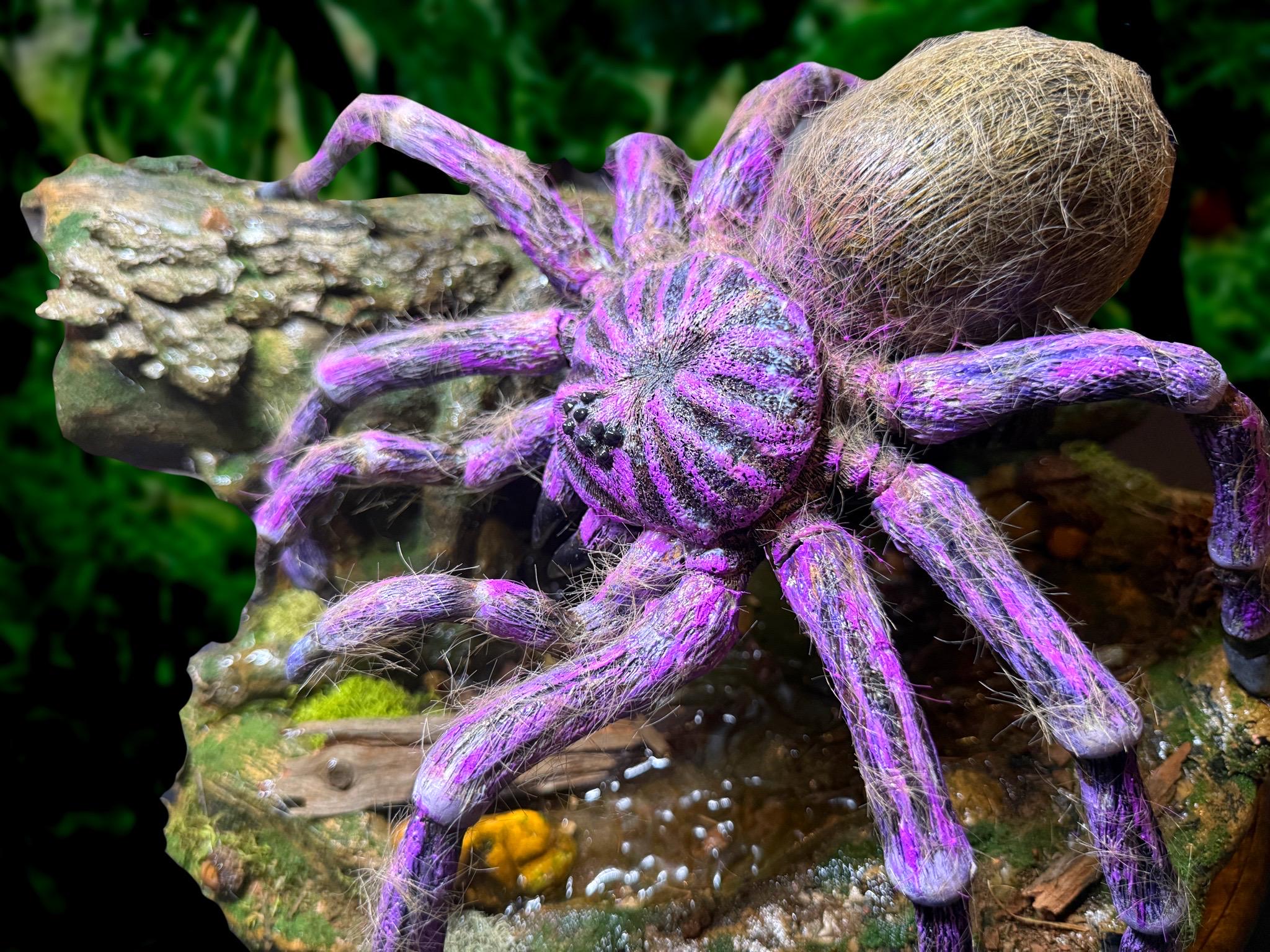 Purple Goliath Birdeater Tarantula Spider Sculpture Diorama, Real