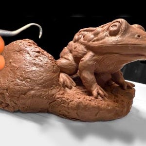 Gopher Frog Sculpture Diorama - Sculpture Preorder: Realistic sizes, “Muddy Puddle” -  (Limit 1st)