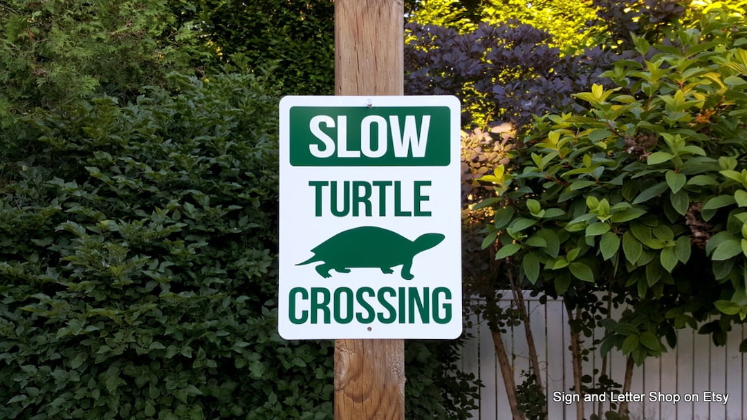 Slow Child Turtle Sign Turtle Crossing Sign Slow Warning Road Sign - Etsy
