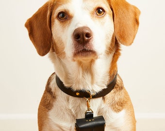 Personalisierte Hochzeit Ring Bearer Hundehalsband, Leine + Beutel Set | Leder Ehering Halter Halsbänder | Box für Haustier-Ringträger | Hundehochzeit