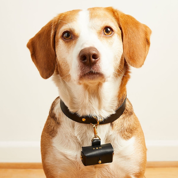 Personalisierte Hochzeit Ring Bearer Hundehalsband, Leine + Beutel Set | Leder Ehering Halter Halsbänder | Box für Haustier-Ringträger | Hundehochzeit