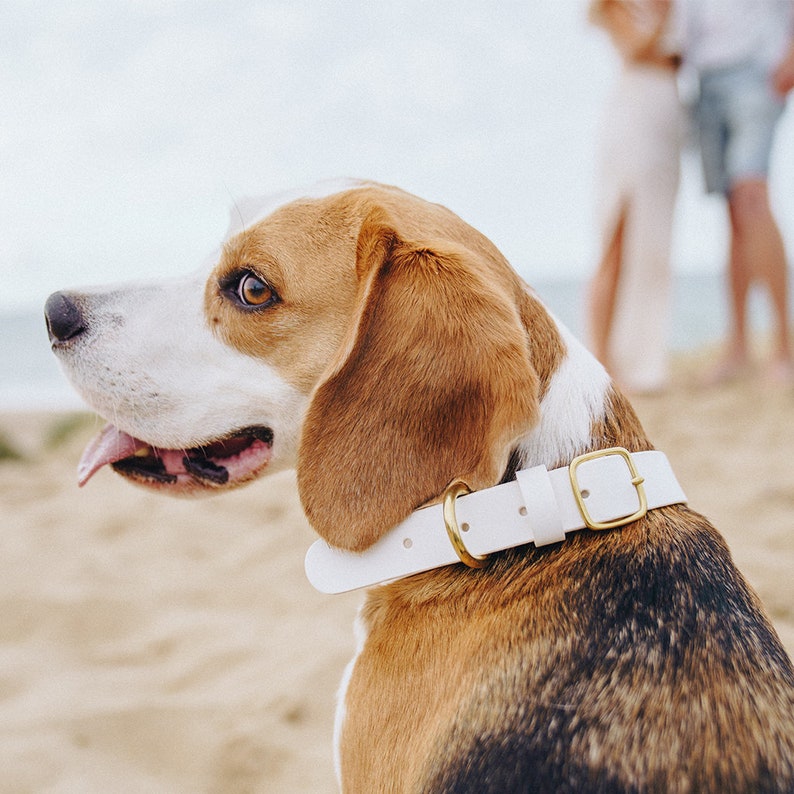 Personalised Wedding Ring Bearer Dog Collar, Lead Pouch Set Leather Wedding Ring Holder Collars Box for Pet Ring Bearer Dog Wedding image 2
