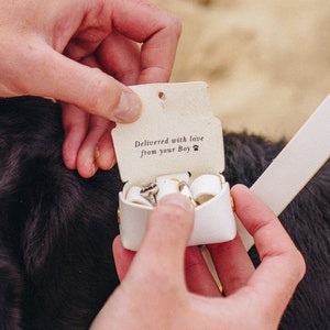 Gepersonaliseerde trouwring aan toonderzakje voor honden Trouwringdoos voor halsbanden Gepersonaliseerde trouwringhouder voor huisdierringdrager afbeelding 2