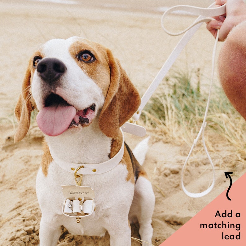 Personalised Wedding Ring Bearer Dog Collar, Lead Pouch Set Leather Wedding Ring Holder Collars Box for Pet Ring Bearer Dog Wedding image 4
