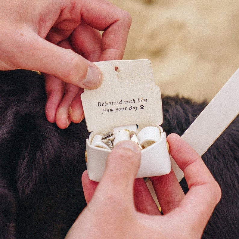 Personalised Wedding Ring Bearer Dog Collar, Lead Pouch Set Leather Wedding Ring Holder Collars Box for Pet Ring Bearer Dog Wedding image 6