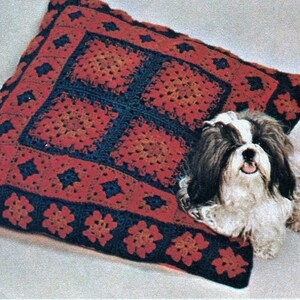 Puede incluir: Un pequeño perro blanco y marrón con la lengua larga fuera, yace sobre una almohada de ganchillo roja, azul y naranja.