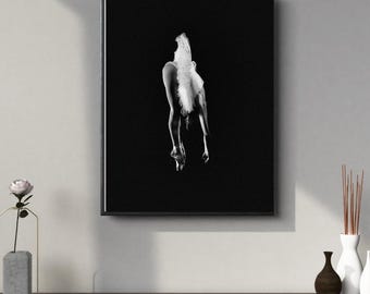Photogtaphy Wall Art - Black and White Dance Wall Art Print, Ballet