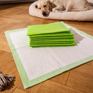 May include: A stack of bright lime green rectangular training pads for pets, featuring a white absorbent center and a light green border, placed flat on a wooden floor alongside a knotted rope toy and a dog resting on a nearby bed.