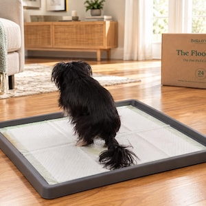 May include: A dark gray rectangular plastic pet training tray holding a white absorbent pad. A small black dog stands on the pad. In the background, a cardboard box is labeled Bella & Co. The FloorMate The Pee Pad Companion 24 count.