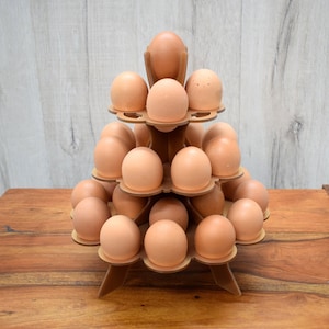 Farm Fresh Egg Holder: Display Tray Holds 29 Eggs