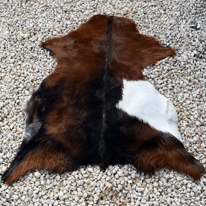 May include: A brown and white cowhide rug with a black patch on the back. The rug is laid out on a bed of small white rocks.