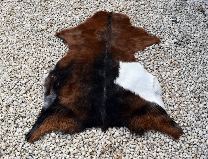 May include: A brown and white cowhide rug with a black patch on the back. The rug is laid out on a bed of small white rocks.