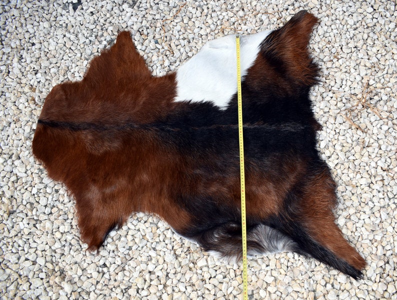 May include: A brown, black, and white cowhide rug with a measuring tape along the side. The rug is approximately 100 inches long.