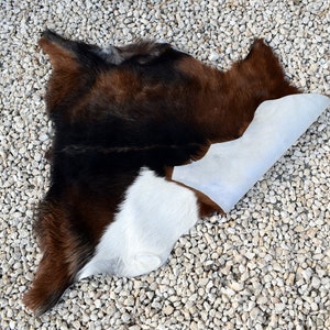 May include: A brown and white cowhide rug with the fur side facing up. The rug is folded in half, revealing the underside of the hide, which is a light blue color.