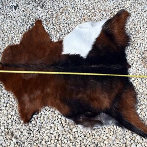 May include: A brown, black, and white cowhide rug with a white patch in the center. The rug is laid out on a bed of white gravel.