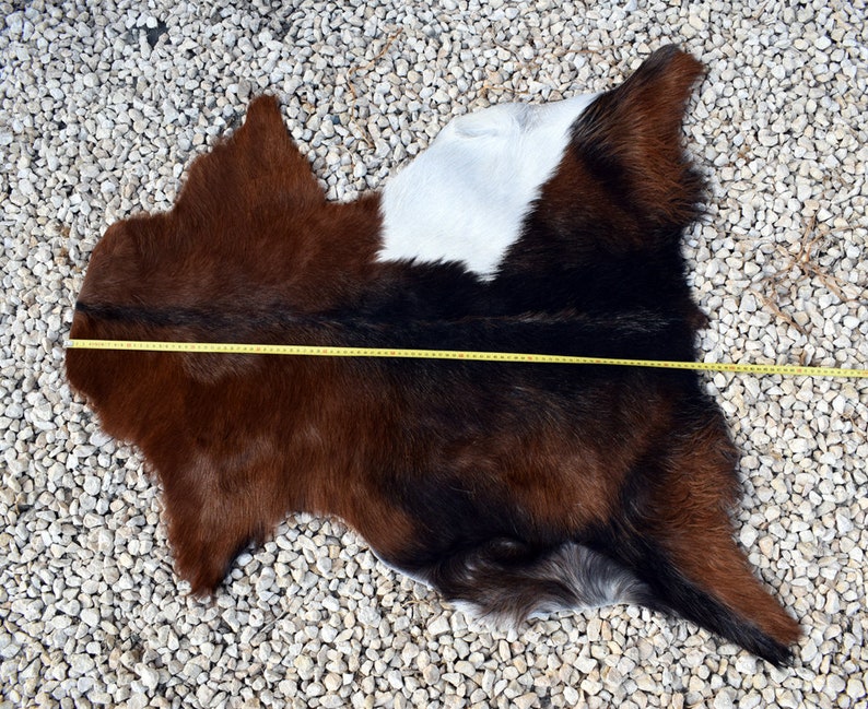 May include: A brown, black, and white cowhide rug with a white patch in the center. The rug is laid out on a bed of white gravel.