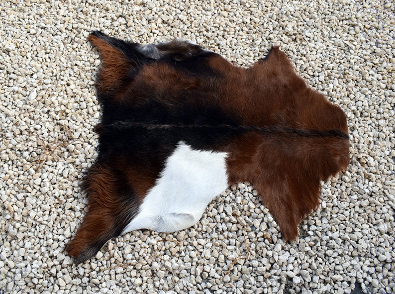 May include: A brown and white cowhide rug with long hair. The rug is laid out on a bed of small white gravel.