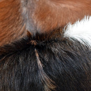 Genuine Goat Skin Rug: Natural Leather Hide, Soft Fur image 2