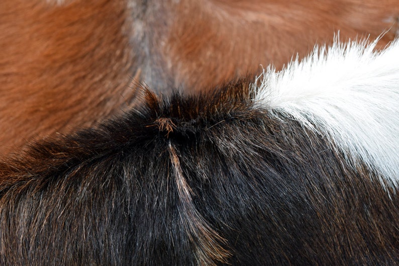 Genuine Goat Skin Rug: Natural Leather Hide, Soft Fur image 2
