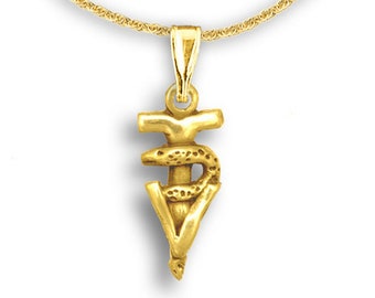 Dierenarts hanger klein 14 kt massief goud