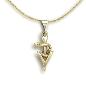 Veterinary Caduceus Small Pendant 14K Solid Gold