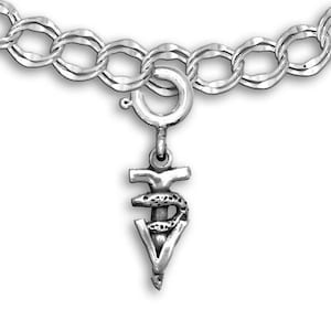 Veterinary Technician Caduceus Charm