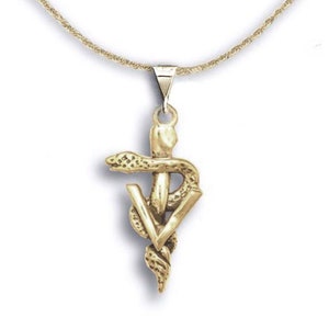Veterinary Caduceus Pendant 14K Solid Gold
