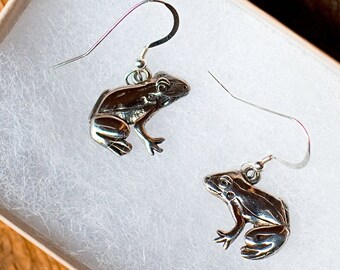 Orecchini a forma di rana in argento, orecchini pendenti a forma di