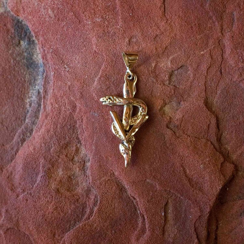 Vet gifts Caduceus jewelry 14K gold Veterinary caduceus Etsy
