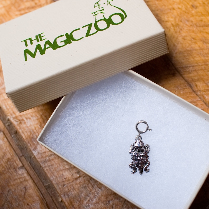 Lizard Jewelry Lizard Charm Horned Toad Charm Etsy