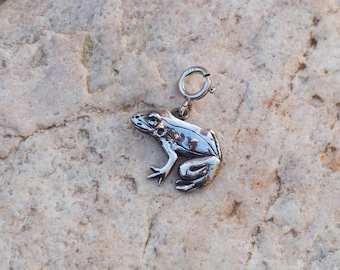 May include: A silver frog charm with a detailed design, featuring a small loop for attachment. The frog is positioned on a light brown, textured surface. The charm has a shiny, reflective quality.