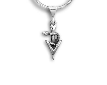 Pendentif vétérinaire en argent sterling