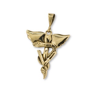 Veterinary Caduceus Pendant with Wings 14K Solid Gold