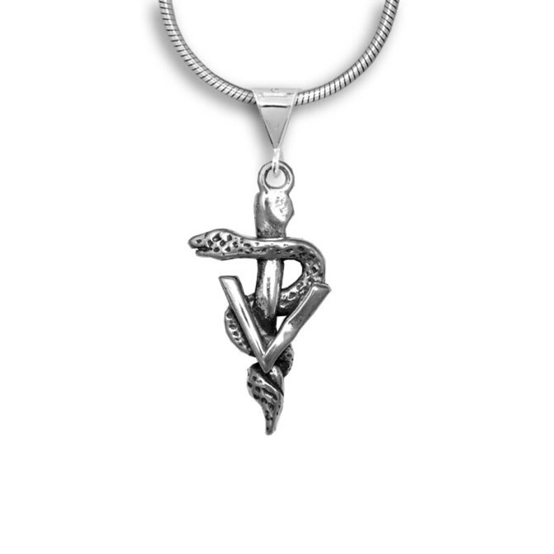 Vet Gifts Caduceus Jewelry Caduceus Charm Etsy
