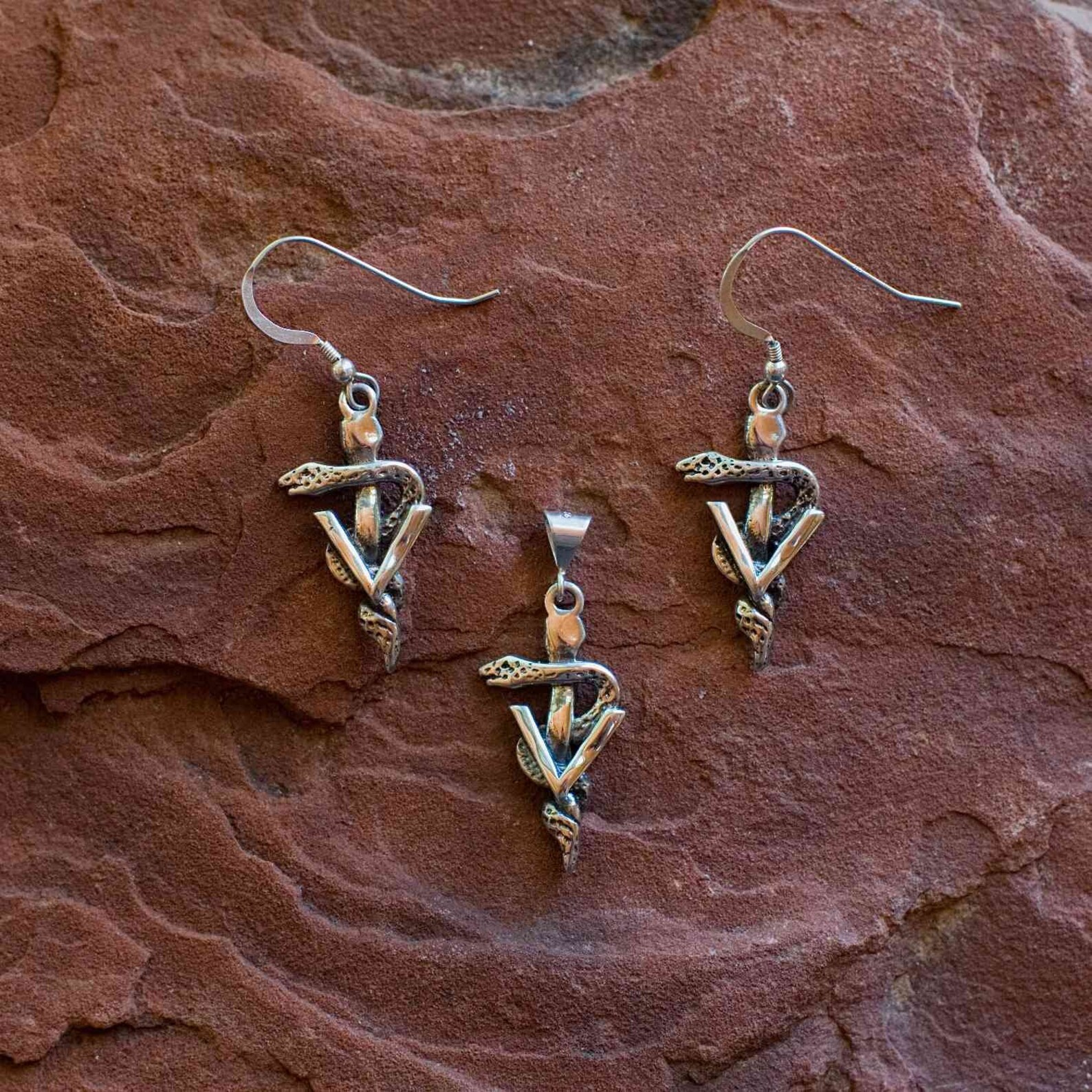 Vet Gifts Caduceus Jewelry Vet Caduceus Earrings Etsy