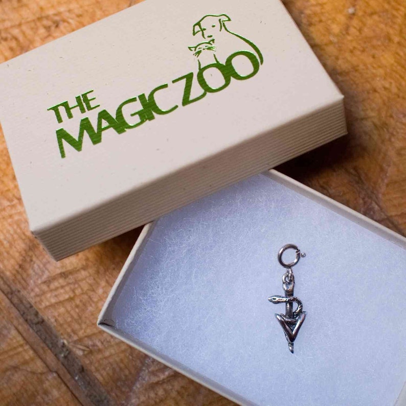 Vet gifts Caduceus jewelry caduceus charm Etsy