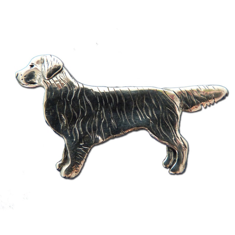 silver golden retriever