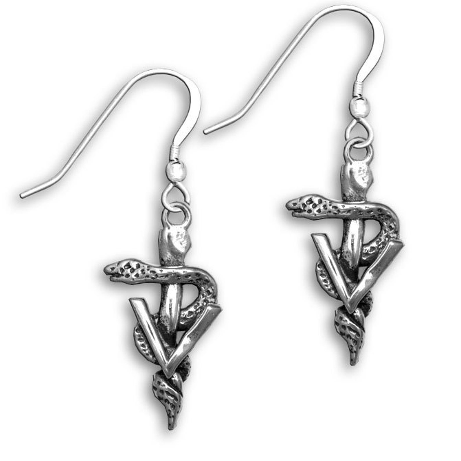 Vet Gifts Caduceus Jewelry Vet Caduceus Earrings Etsy