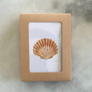 May include: A framed watercolor painting of a seashell. The artwork features a detailed depiction of a brown and tan scallop shell against a white background. The frame is made of brown cardboard.