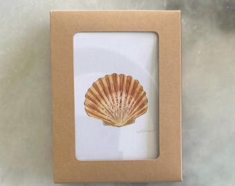Scallop Shell Watercolor Notecards: Coastal Beach Art Prints, 8-Pack