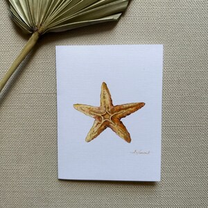 May include: A watercolor painting of a starfish on a white background. The starfish is a light brown color with a slightly orange hue.
