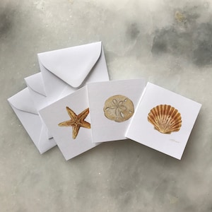 May include: Set of four blank note cards with watercolor illustrations of seashells. The cards feature a starfish, a sand dollar, and a scallop shell.