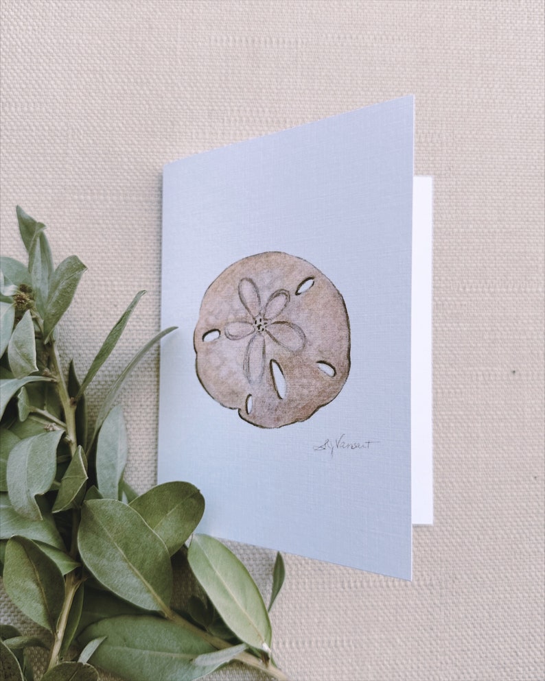 Sand dollar Greeting Cards, Pack of 3, Blank Inside, 4.25 x 5.5 image 7