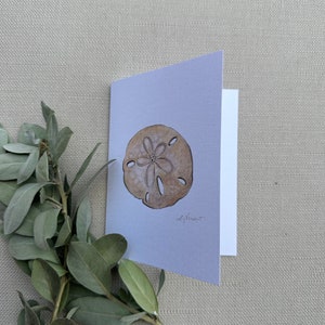 Sand dollar Greeting Cards, Pack of 3, Blank Inside, 4.25 x 5.5 image 8